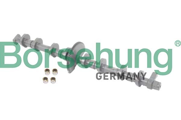 CAMSHAFT KIT BORSEHUNG BMW