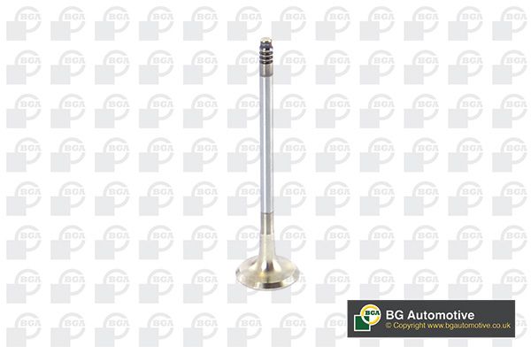EXHAUST VALVE BGA BMW