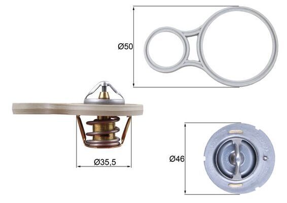 THERMOSTAT ONLY MAHLE MINI