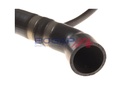 c4228169_4.JPG