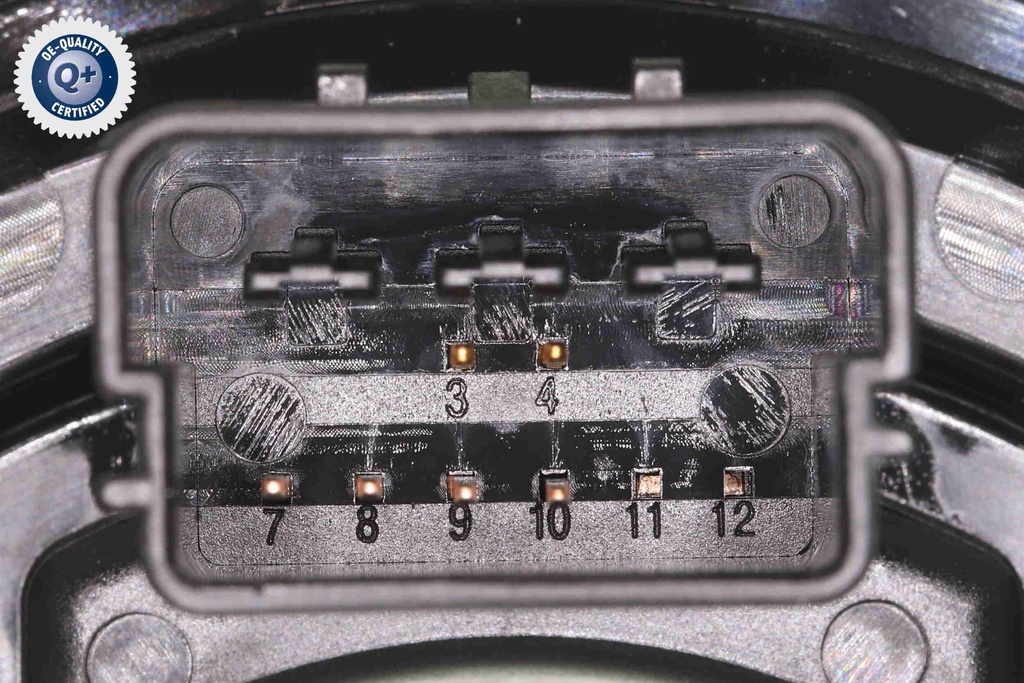 V10-72-1615_03.JPG