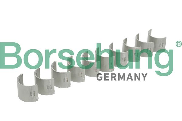 CAMSHAFT BEARING KIT [10 PCS]BORSEHUNG V