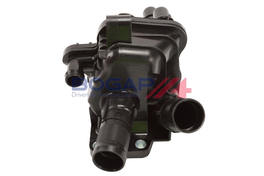 p4246100_4.JPG
