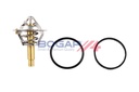 THERMOSTAT BOGAP MERC