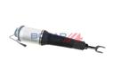 AIR STRUT RHF BOGAP VAG