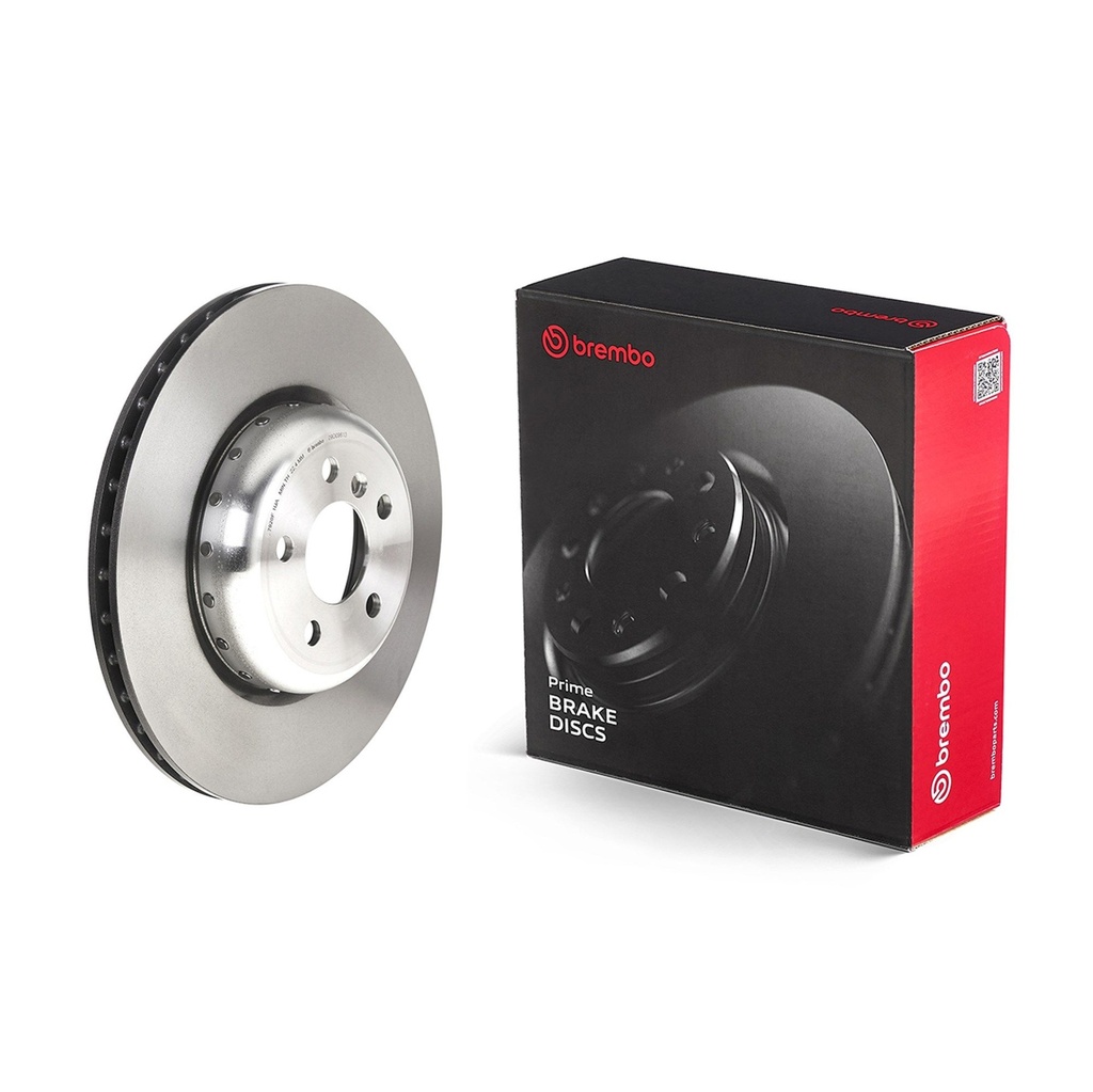 09D09613_A.JPG