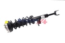SHOCK ABSORBER ASSY LHF BOGAP BMW