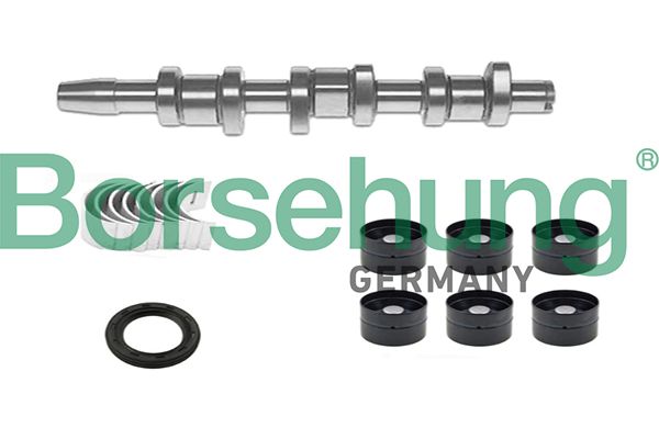 CAMSHAFT KIT BORSEHUNG VAG