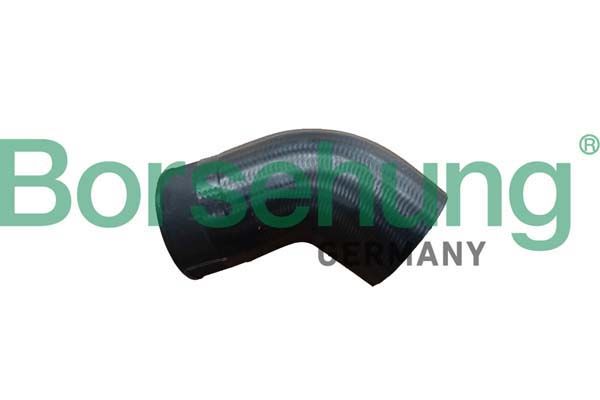 CHARGE AIR HOSE BORSEHUNG VAG