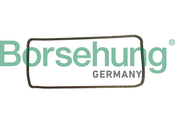 TIMING CHAIN BORSEHUNG BMW