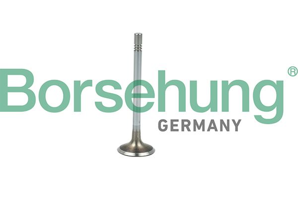 VALVE INLET BORSEHUNG VAG