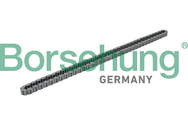 TIMING CHAIN BORSEHUNG VAG