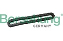 OIL PUMP CHAIN BORSEHUNG BMW