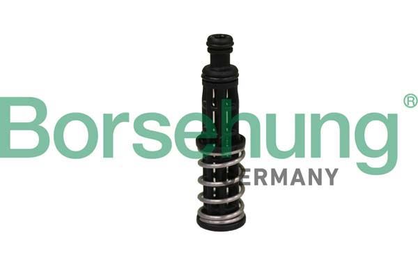 Oil Filter Pressure Valve Borsehung VAG