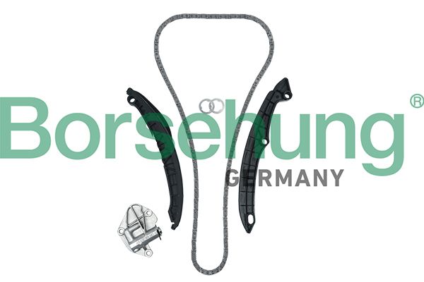 TIMING CHAIN KIT BORSEHUNG VAG