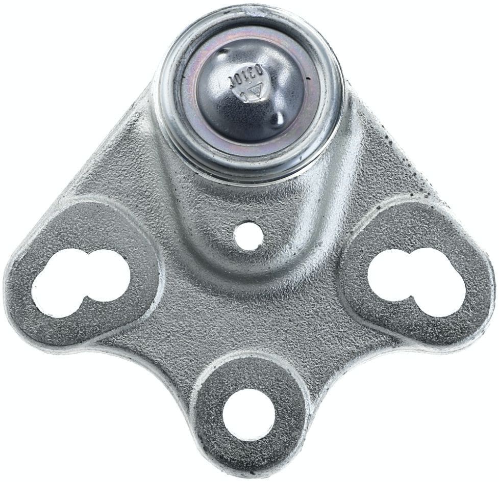 00353340702_04.JPG