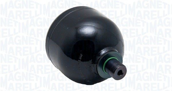RRF_AMTR005_WR.JPG