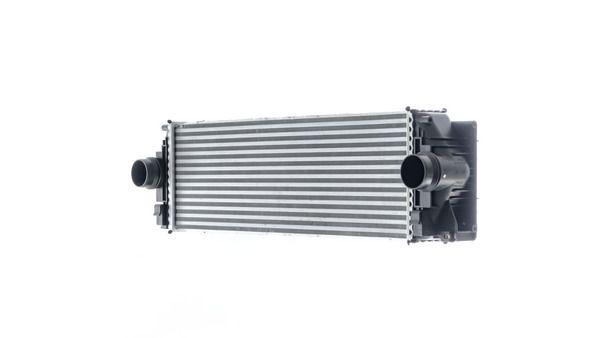 551901146.JPG