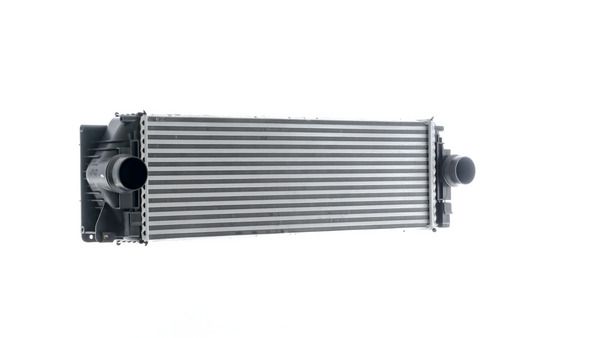 551903753.JPG