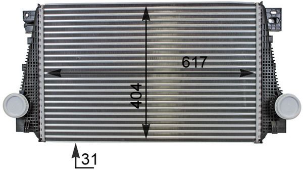 299221066.JPG