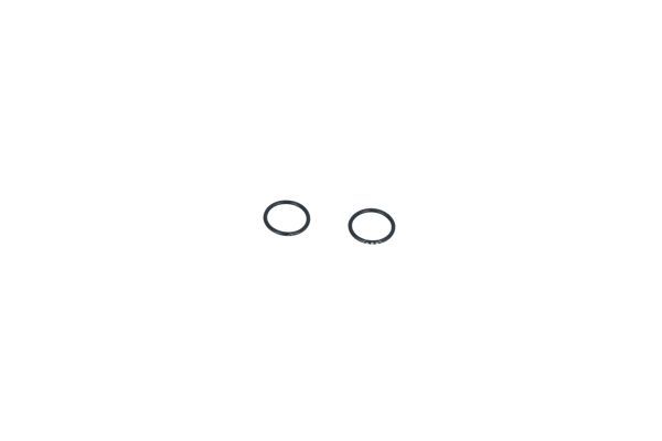 53064_1500X1000_WM_EF.JPG