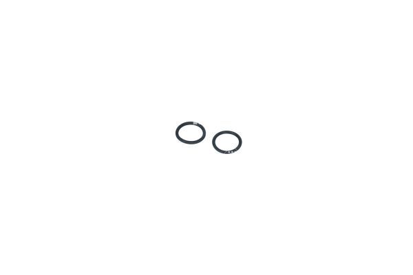 53425_1500X1000_WM_EF.JPG