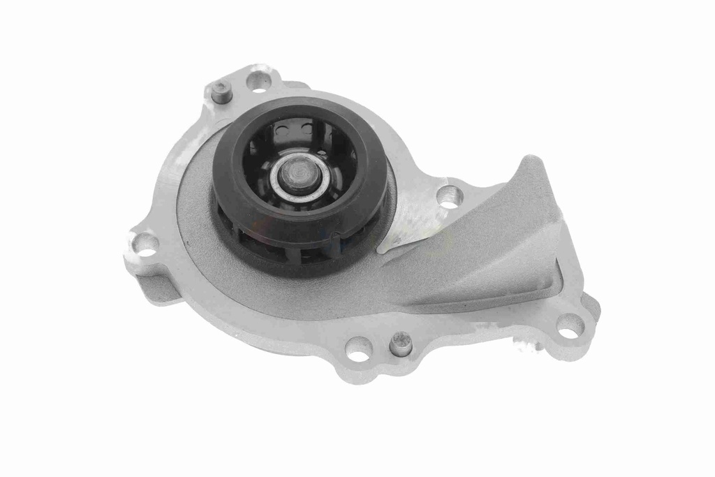 V42-50001_60.JPG