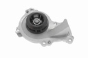 V42-50001_60.JPG