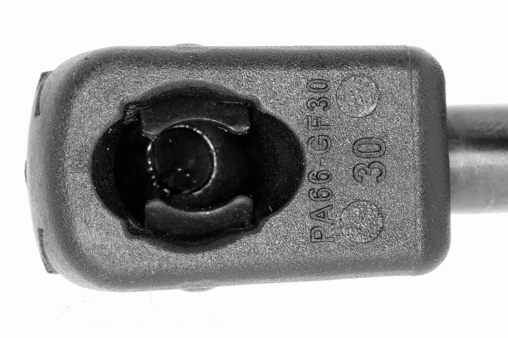 V10-1963_03.JPG