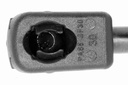 V10-1963_03.JPG