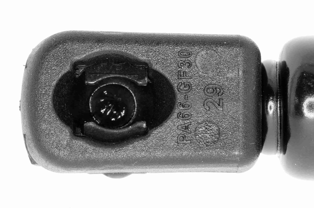 V10-1963_04.JPG
