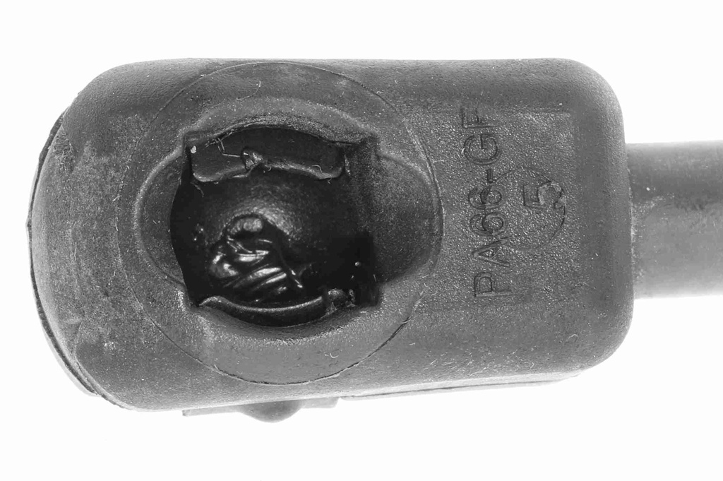 V30-2066_03.JPG