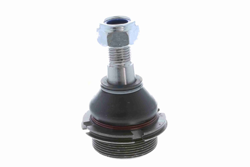 V22-0048_60.JPG