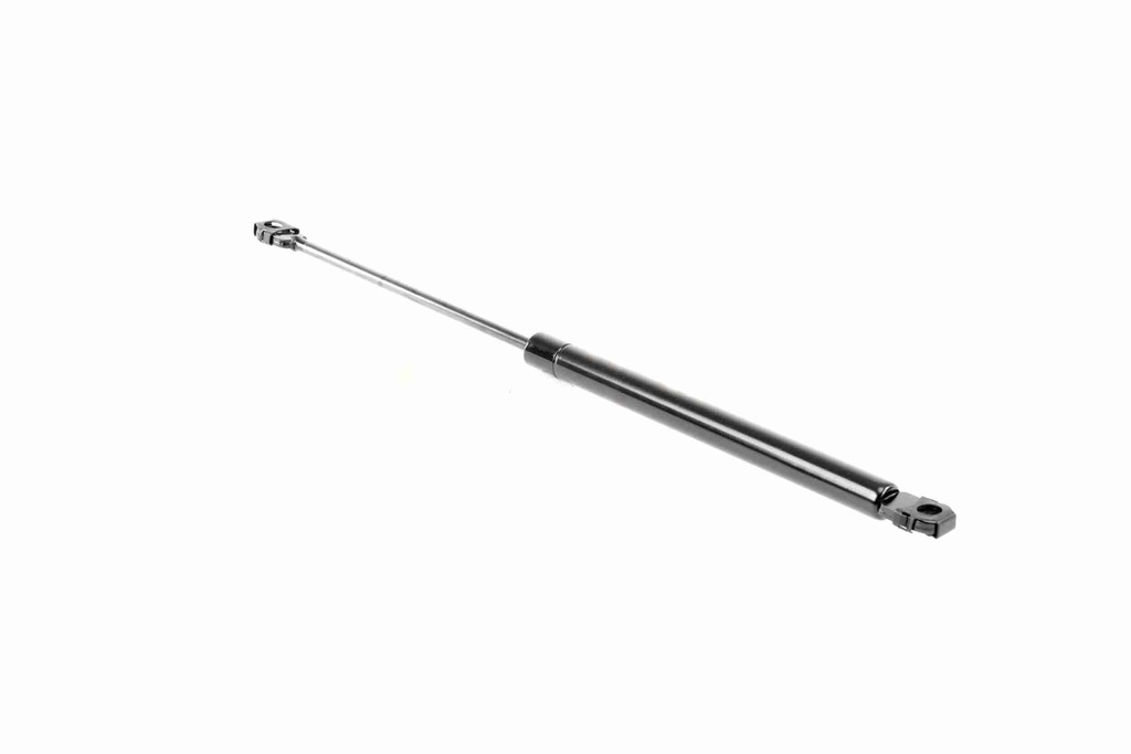 V20-2011_65.JPG