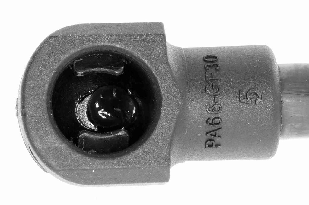 V20-0997_03.JPG