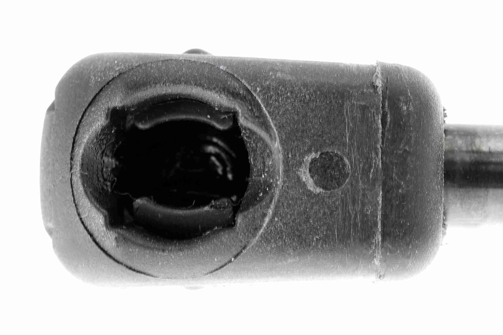 V10-1966_04.JPG
