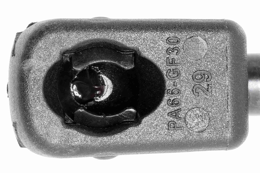 V10-1964_03.JPG