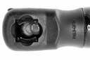 V10-1964_04.JPG