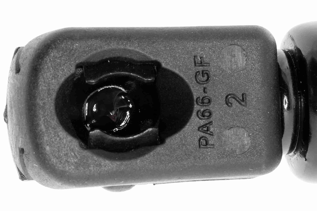 V10-1926_04.JPG