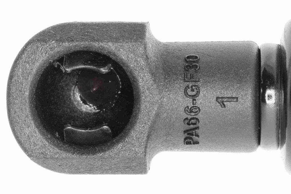 V20-2051_04.JPG