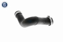V10-2837_64.JPG