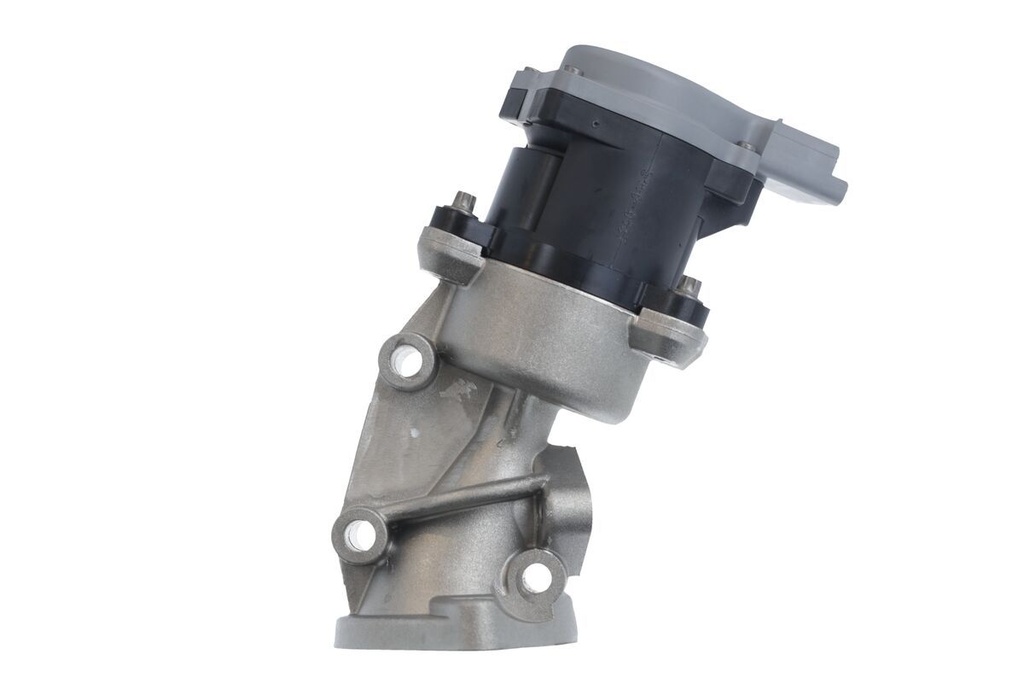 EGR VALVE_700422_02.JPG