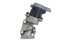 EGR VALVE_700422_02.JPG