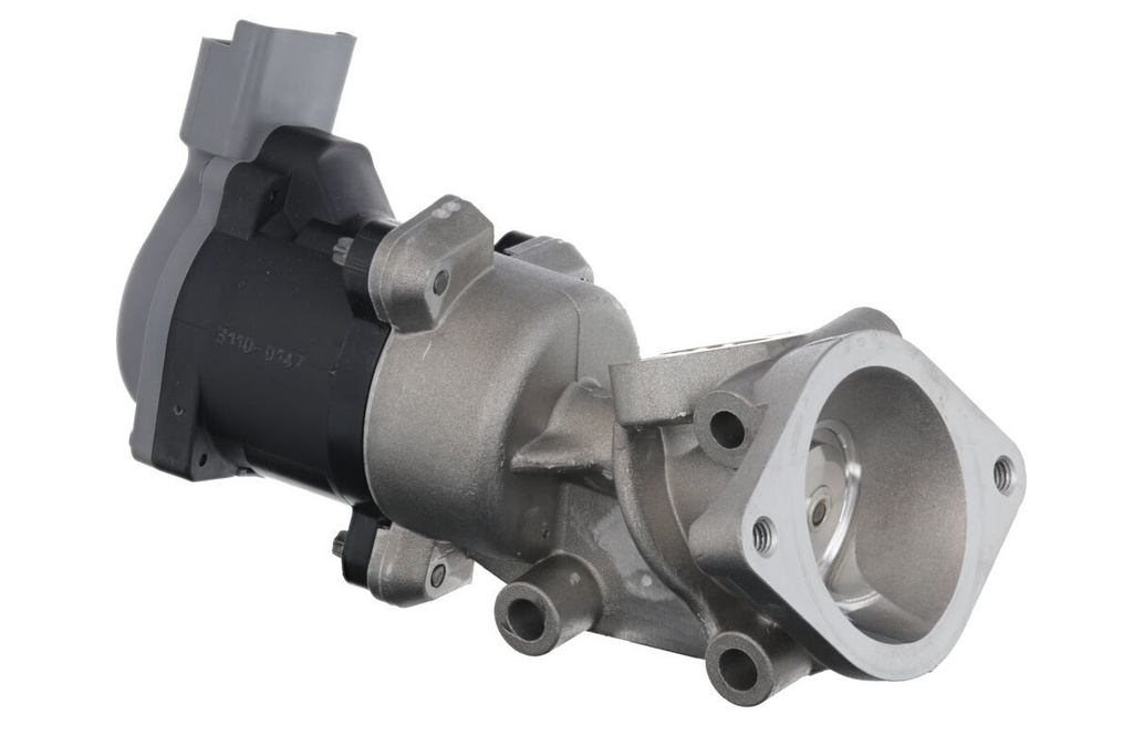 EGR VALVE_700422_03.JPG
