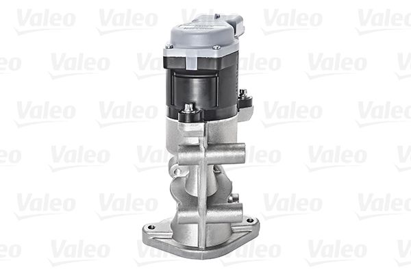 EGR_VALVE_700423_03.JPG