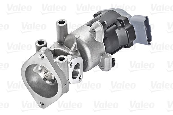 EGR_VALVE_700423_04.JPG