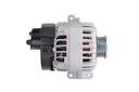 ALTERNATOR_443129_03.JPG