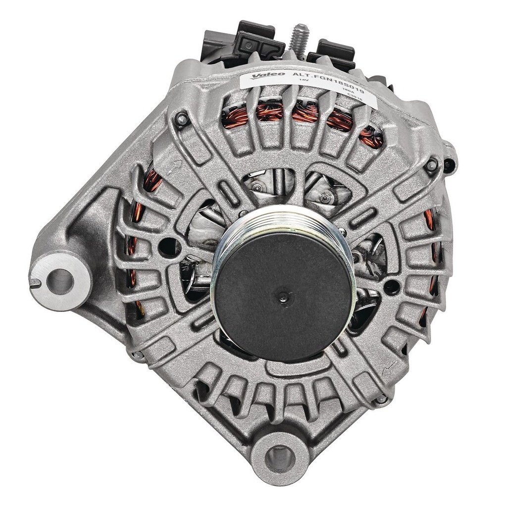 ALTERNATOR_439613_01.JPG