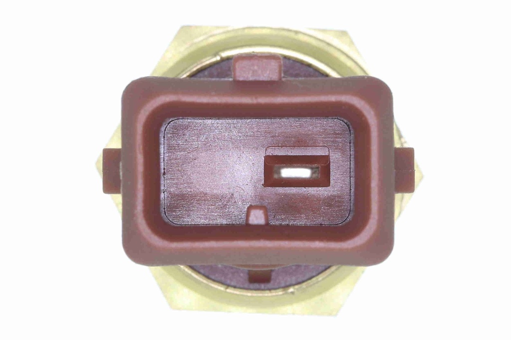 V20-72-0442_03.JPG