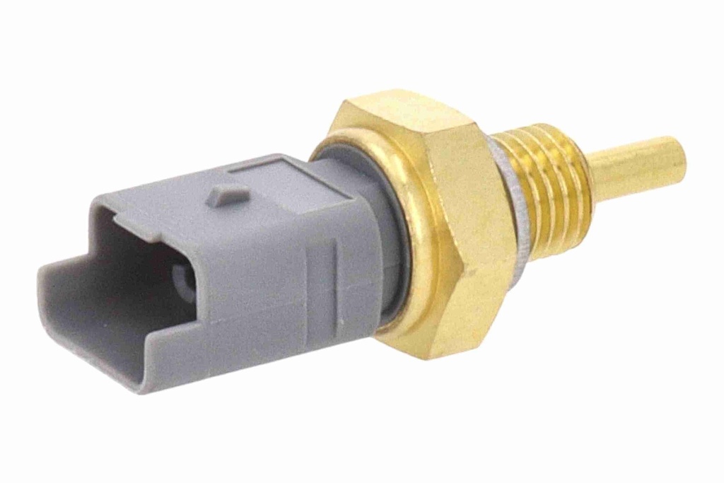 V42-72-0024_02.JPG